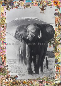 "Under the Snows of Kilimanjaro 1986/2012" "Under the Snows of Kilimanjaro 1986/2012"