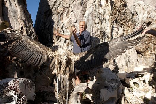 Peter Beard Peter Beard