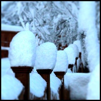Wintry gateposts in Connecticut on January 27, 2011. Wintry gateposts in Connecticut on January 27, 2011.