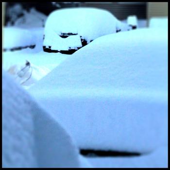 Snow covered cars in Connecticut on January 27, 2011. Snow covered cars in Connecticut on January 27, 2011.