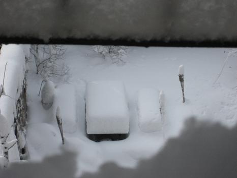 A snowy back yard looks on Thursday. A snowy back yard looks on Thursday.
