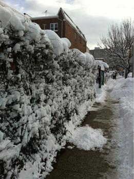 It's an icy walk on this Queens sidewalk. It's an icy walk on this Queens sidewalk.