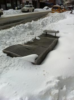 A bit of frosty detritus in Astoria, Queens. A bit of frosty detritus in Astoria, Queens.