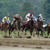 Thoroughbreds race at Saratoga Race Course in Saratoga Springs, New York