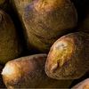 Sullivan St Bakery's pugliese bread