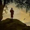 meditation meditation