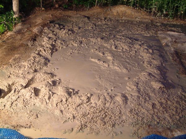 quick sand quick sand
