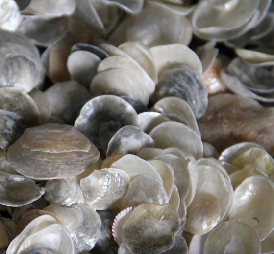 The Art of Capiz Studio 360 WNYC