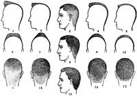 Splitting Hairs: A Hair Part Survey - Radiolab long layered haircut square diagram 