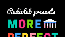 More Perfect - WNYC Studios