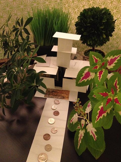 Winner! Don't get upset about the plants, says Nina.