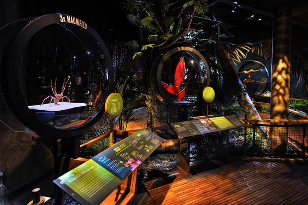 Life-size walkthrough environment of a remote Colombian forest called Chocó.
