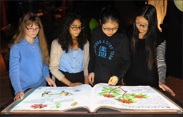 The “enchanted” book resembles an ancient botanical volume and displays animations of well-known poisonous plant species, including belladonna and monkshood.