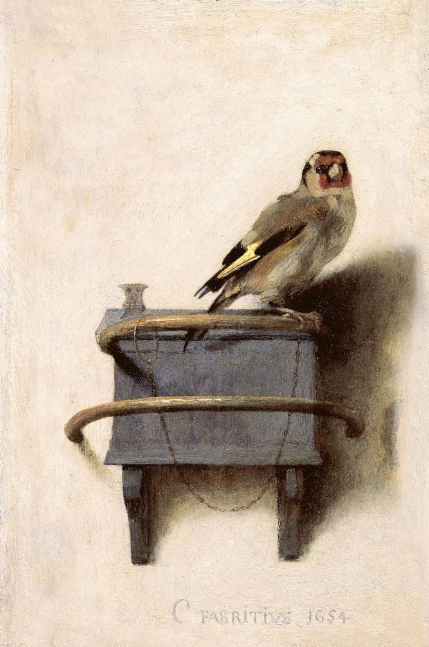 Carel Fabritius (1622–1654). The Goldfinch, 1654.