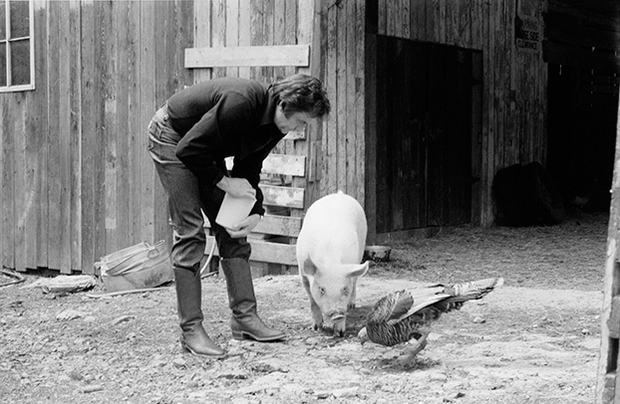 J.R. Cash, Snorkle the Pig, and Theodore the Turkey on the Farm, 1982. Archival pigment print.