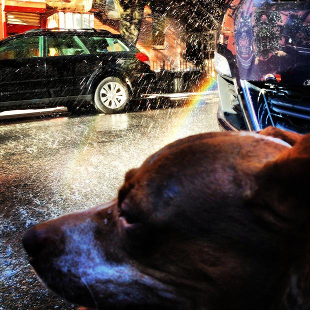 Hydrant with sprinkler cap, President Street and Fifth Avenue, Park Slope