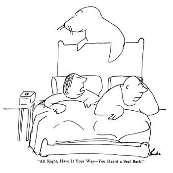 “All right, have it your way – you heard a seal bark!”