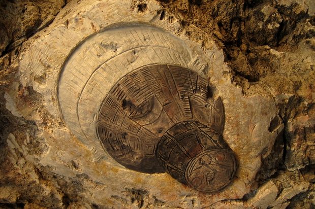 An image of the Gemini capsule, from a project Sudeith did in northern California.