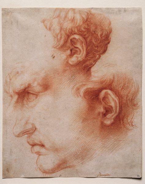 Studies of a Head in Profile, c. 1622