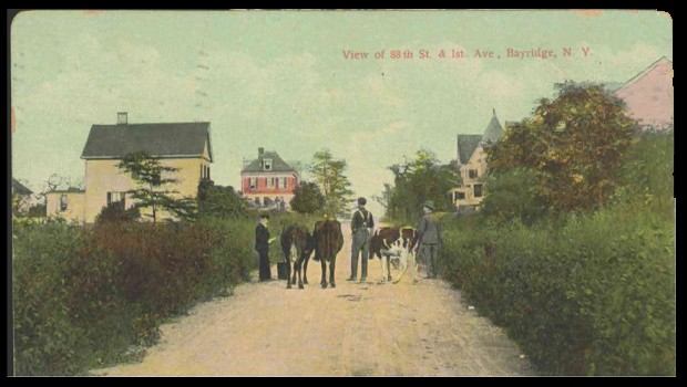 88th Street and 1st Ave. in Bayridge