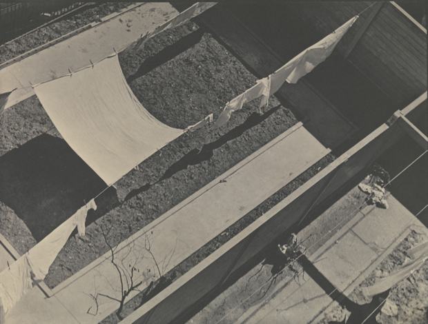 Geometric Backyards, New York, 1917