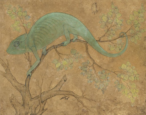 Mansur. Chameleon