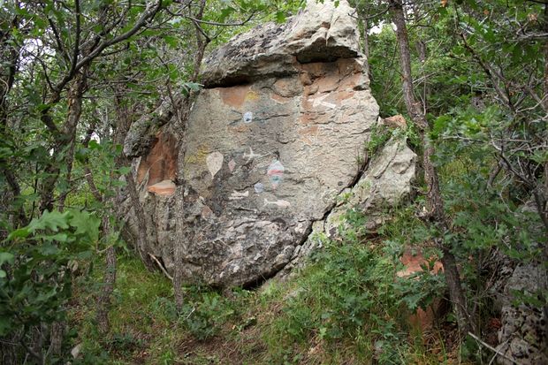 A boulder carved by Sudeith in Colorado. Some of these he does by invitation. Others are on the fly.
