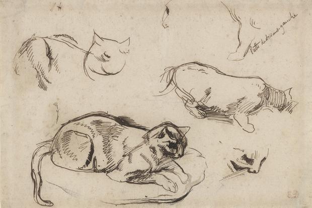 At the Morgan, an exhibit devoted to animals in art, literature and music -- such as Eugène Delacroix's 19th century studies of a cat.