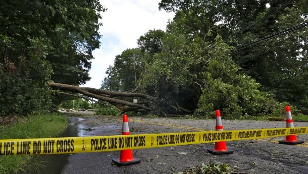 A tree down in Hillsdale, NJ. A tree down in Hillsdale, NJ.