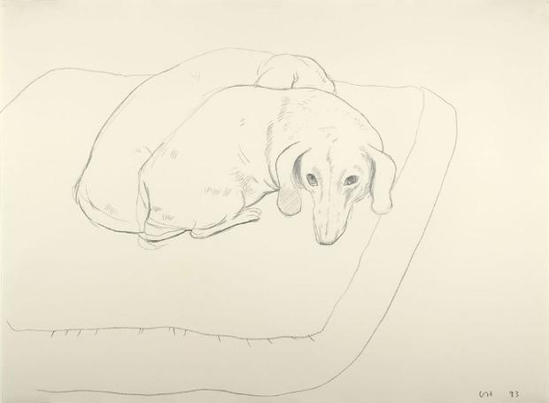 The show at the Morgan features works both new and old. 'Boodgie and Stanley' is a 1993 drawing by British painter David Hockney that shows off the artist's dachsunds.