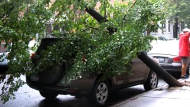 A tree leans against a car in Jackson Heights, Queens on Sunday. A tree leans against a car in Jackson Heights, Queens on Sunday.