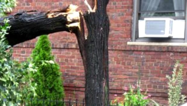 A splintered tree trunk on 35th Ave. in Jackson Heights, Queens on Sunday. A splintered tree trunk on 35th Ave. in Jackson Heights, Queens on Sunday.