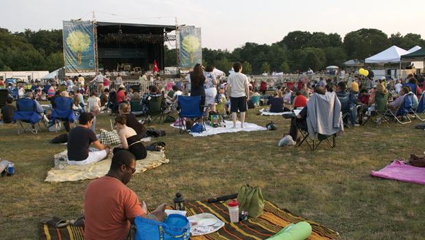 Despite the heat, concert-goers enjoy dinner in the park.