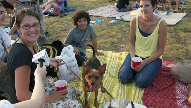 'What's in your picnic basket?'