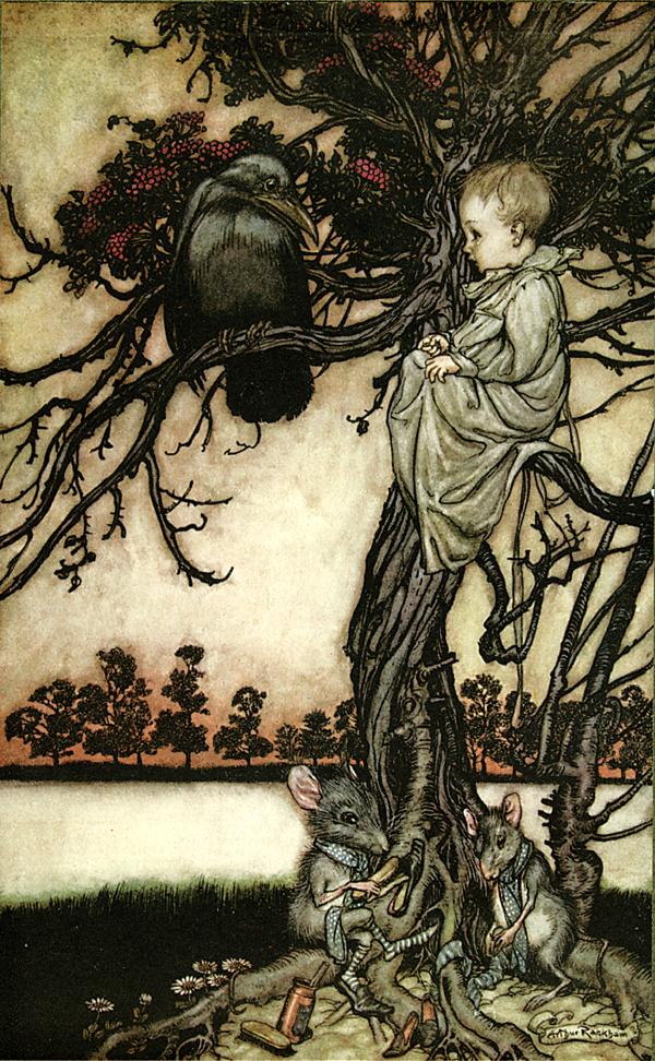 'Peter put his strange case before old Solomon Caw.' Peter Pan in Kensington Gardens, 1906, illustrated by Arthur Rackham.