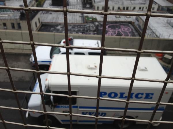 Protesters from Brooklyn cross the Williamsburg Bridge.