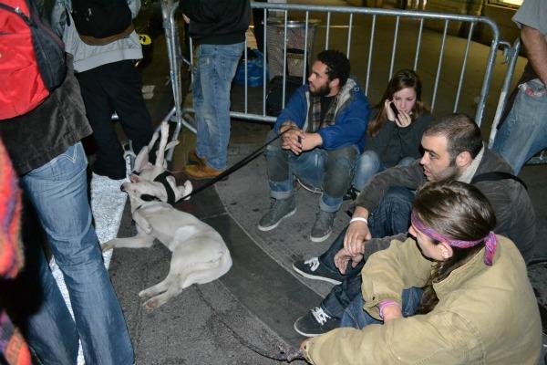 Pets were evicted too