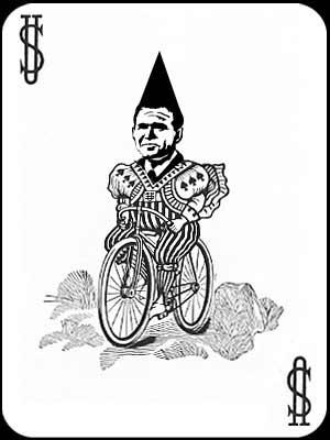 Wildcard