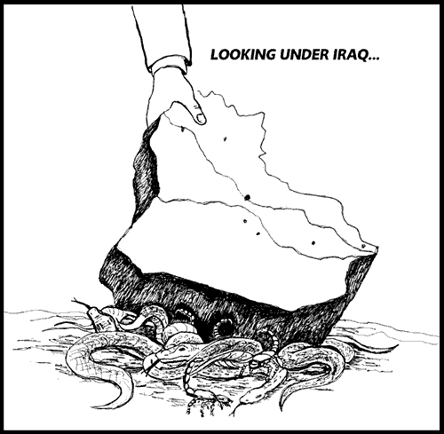 Looking Under Iraq