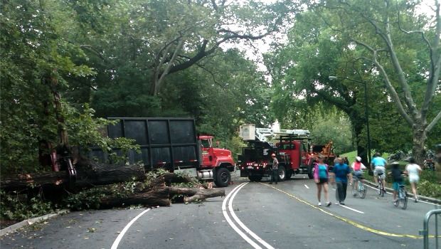A team hauls debris off the road in Central Park on Sunday as walkers amble by. A team hauls debris off the road in Central Park on Sunday as walkers amble by.