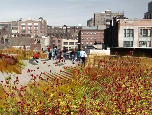 The High Line, preliminary design, Gansevoort Street entry looking west showing slow stair and vegetal balcony. Computer-generated image.
