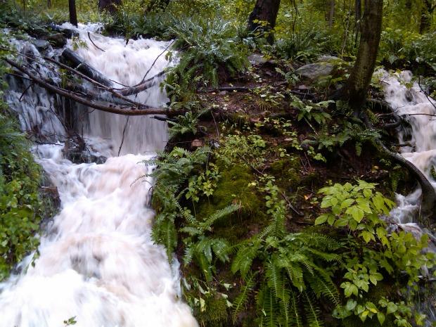 Water runoff headed to Hudson River, Dutchess Junction, NY. Water runoff headed to Hudson River, Dutchess Junction, NY.