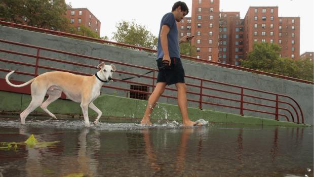 Stephen Lopez walks his dog Gomez through flood waters along the East River Bikeway after Hurricane Irene dumped more than six inches of rain August 28, 2011 in New York City. Stephen Lopez walks his dog Gomez through flood waters along the East River Bikeway after Hurricane Irene dumped more than six inches of rain August 28, 2011 in New York City.