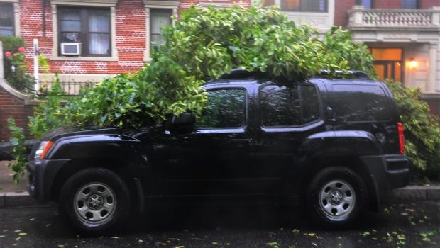 One side of this car in Crown Heights got out unscathed. One side of this car in Crown Heights got out unscathed.