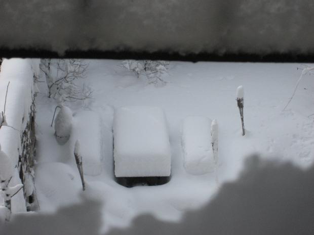A snowy back yard looks on Thursday. A snowy back yard looks on Thursday.