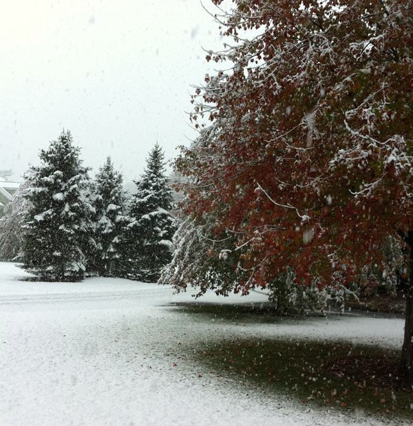 Snow weighs down tree branches in New Canaan, CT. Snow weighs down tree branches in New Canaan, CT.
