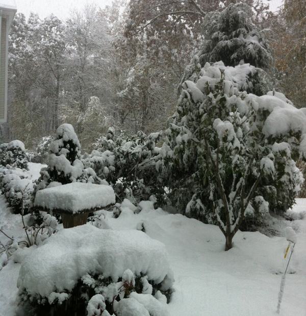 Snow piling up in Newtown, CT on Saturday afternoon. Snow piling up in Newtown, CT on Saturday afternoon.