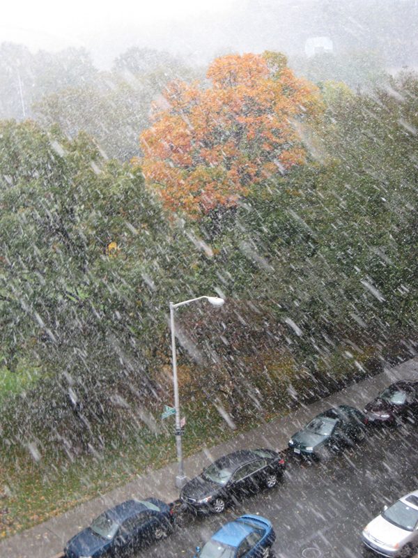 Fall turns to winter in northern Manhattan. Fall turns to winter in northern Manhattan.