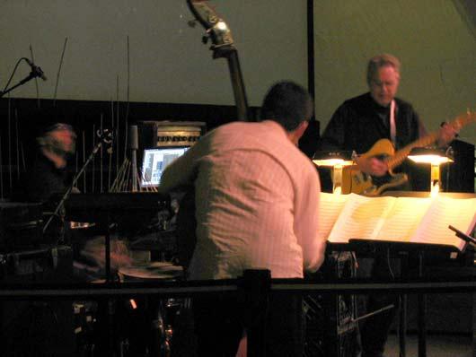 Bill Frisell and trio, World Financial Center, 1/15/04.