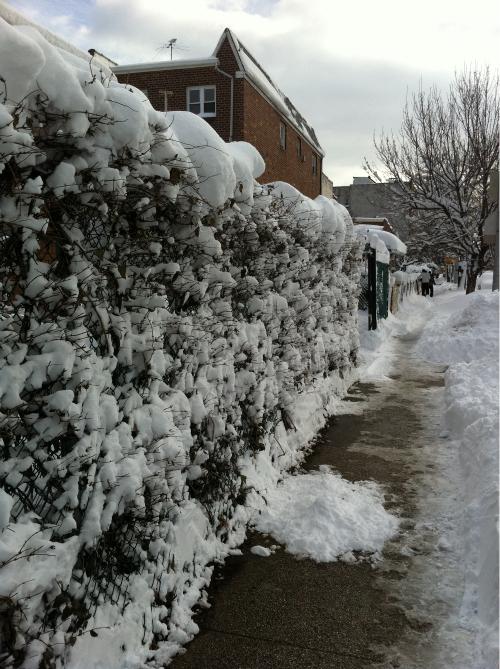 It's an icy walk on this Queens sidewalk. It's an icy walk on this Queens sidewalk.